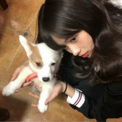 抱小动物的头像女