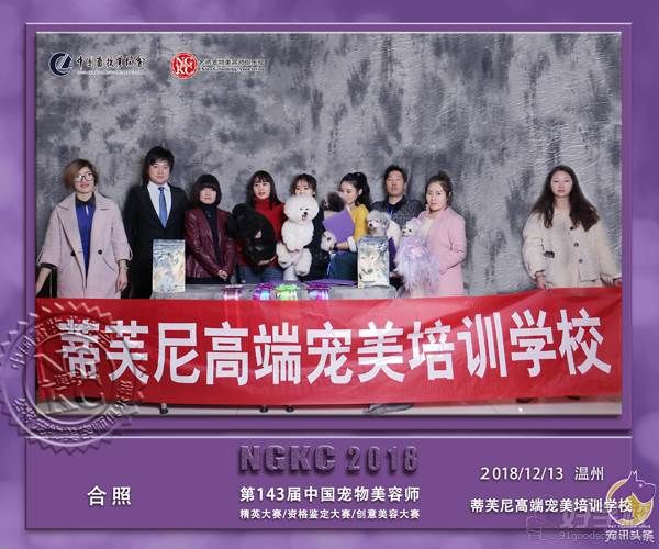 蒂芙尼高端宠美培训学校学员风采