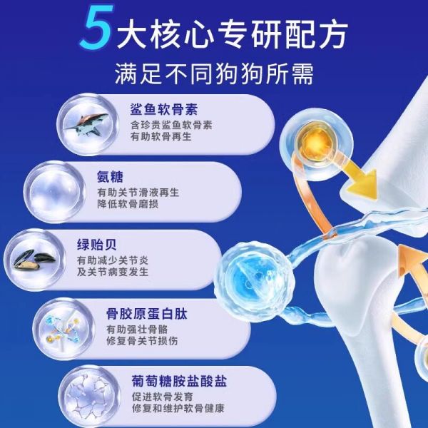 宠物进客舱！简化终身服务犬文件，免托运费，让爱宠随行无忧！