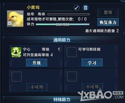 《天涯明月刀》金色宠物小黄鸡怎么领取