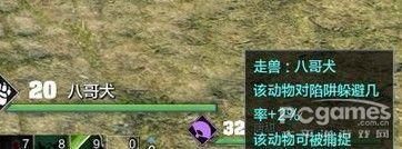 如何获得天涯明月刀OL宠物 狩猎玩法解析