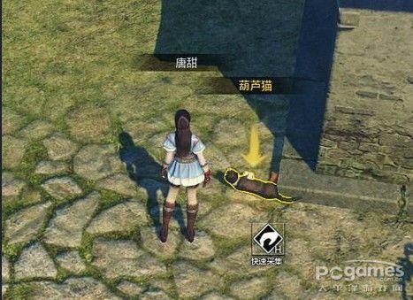 如何获得天涯明月刀OL宠物 狩猎玩法解析