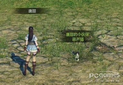 如何获得天涯明月刀OL宠物 狩猎玩法解析