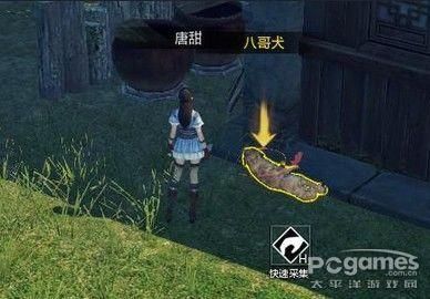 如何获得天涯明月刀OL宠物 狩猎玩法解析