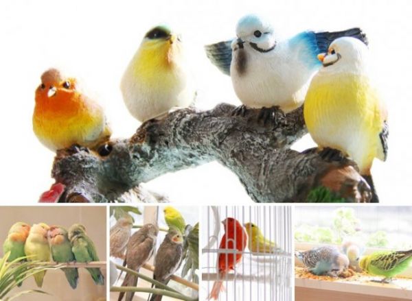 东京特色动物Cafe