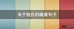 关于姓氏的唯美句子