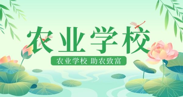 淮 安农校宠物医院猫咪绝育