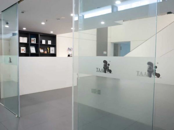 专业宠物美容工作场景