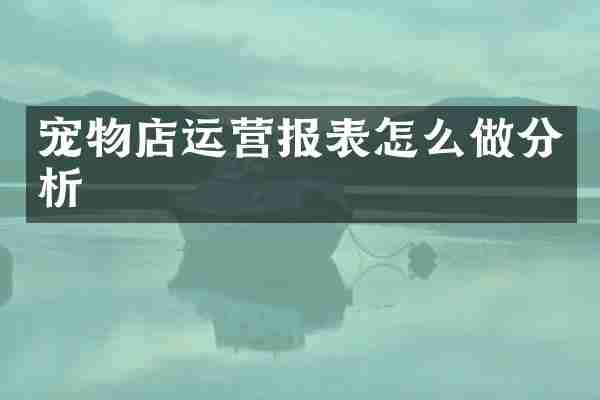 宠物店运营报表怎么做分析