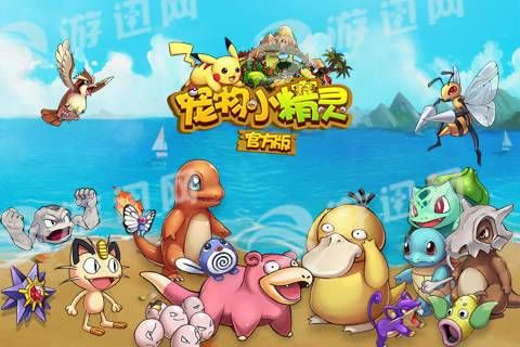 宠物小精灵私服