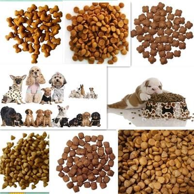 小型宠物食品膨化机厂 膨化饲料颗粒机 型号全