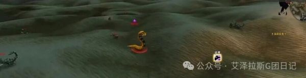 【魔兽世界】希利苏斯金色甲虫抓捕全攻略，稀有战斗宠物高端猎人必入手！