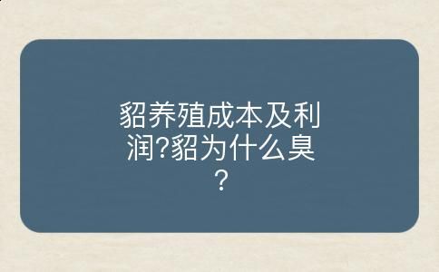貂养殖成本及利润?貂为什么臭?