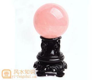 宠物食品名字大全