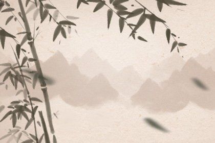 宠物食品名字大全