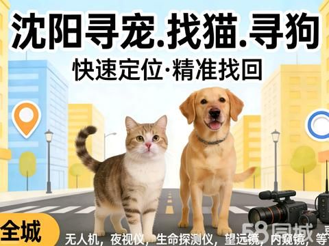 千里眼全国寻宠找猫找狗·沈阳专业找猫找狗寻宠团队宠物搜救