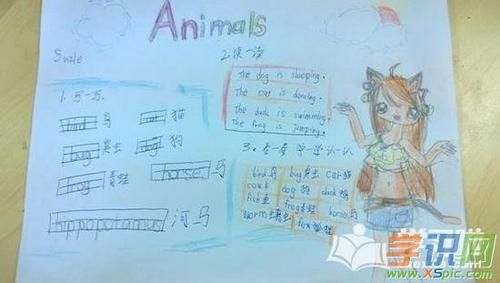 关于动物英语手抄报简单又漂亮