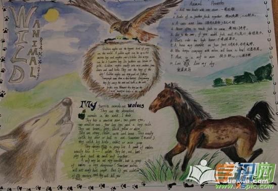 学识网 语文 手抄报 英语手抄报 用英文的方式来描绘动物相对来说