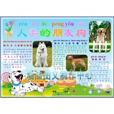 有关狗狗的英语手抄报 春天的英语手抄报