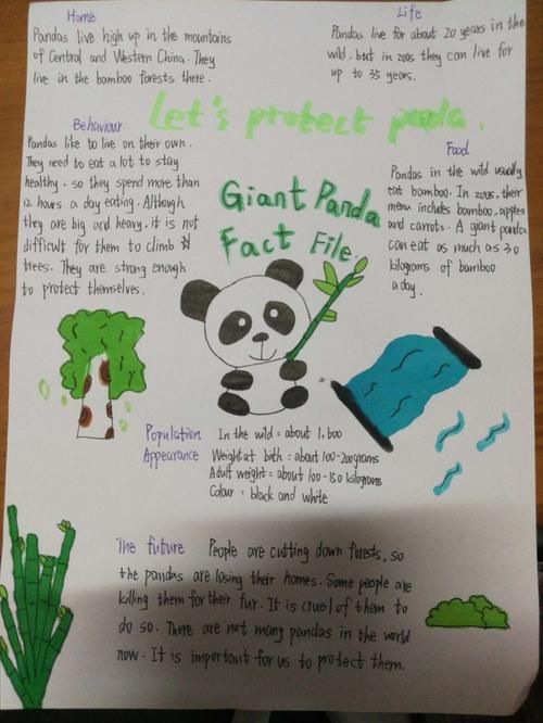 停课不停学初中英语手抄报展示--华龙学校初中英语组