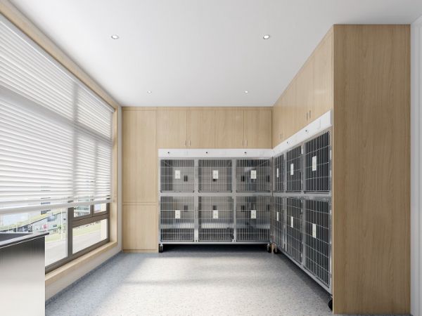 长宁特色宠物医院装修多少钱,商业空间装修