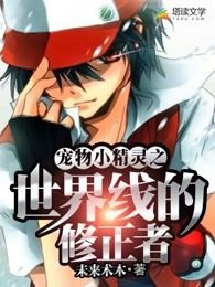 宠物小精灵之世界线的修正者