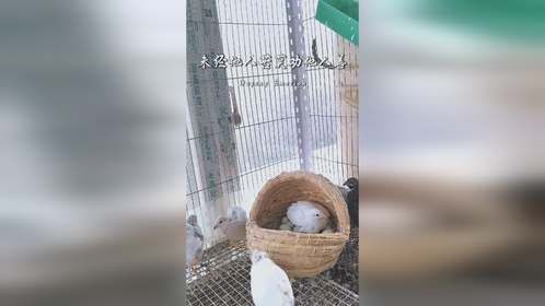 未经他人苦，莫劝他人善