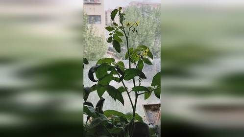 在忙碌的日子，也得有小爱好