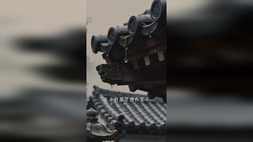 人生除了生死，其他都是擦伤