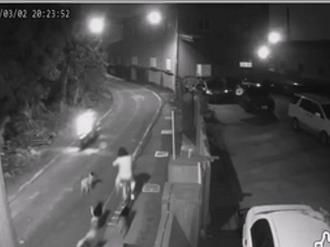 无良饲主放任！和美镇狗群四处逞凶　单车女子被狂追惨摔