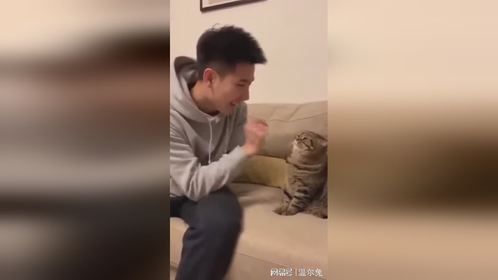 猫：我是不咬你，但我可以扇你啊