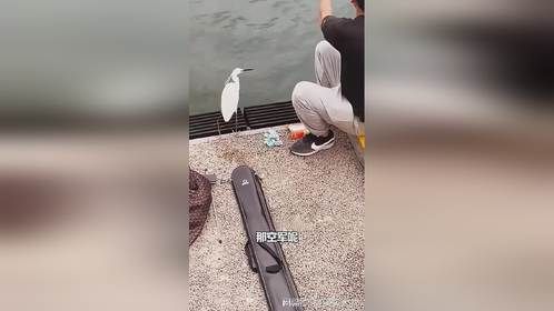 刚钓鱼就被抢了