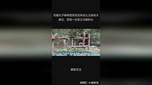 四喜丸子麻将局双双没来虫儿又抢老大座位，哥哥一过来立马就秒怂