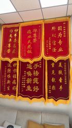 -华尊荣植物古法祛痣祛疣祛汗管瘤