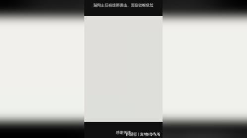 鬣狗主任被雄狮袭击，面临锁喉危险