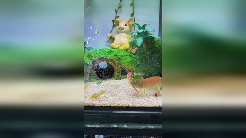 搞错了！从来！