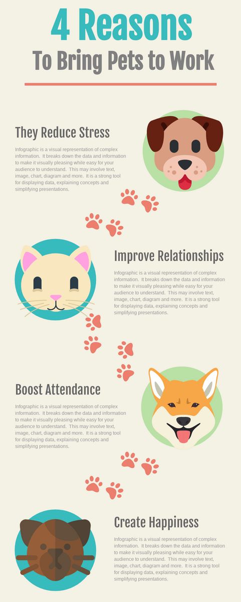 信息图表模板：工作场所中的宠物（由InfoART的信息图表制造商创建）