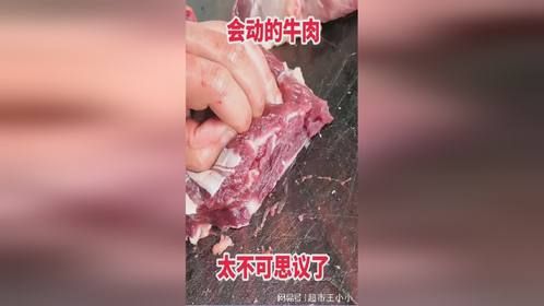 会动的牛肉，太不可思议了！