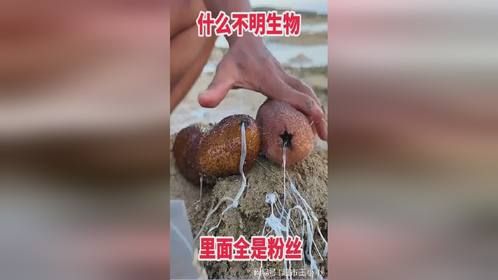 什么不明生物，里面全是粉丝！