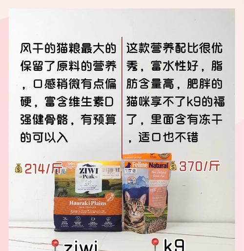 哪里可以买到猫粮？宠物店还是超市？