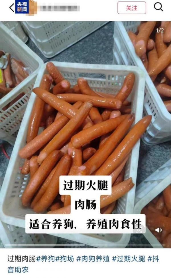 过期食品销售给宠物吃是违法行为 存在健康风险