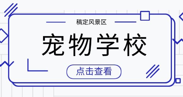 青 岛哪里学宠物美容学校