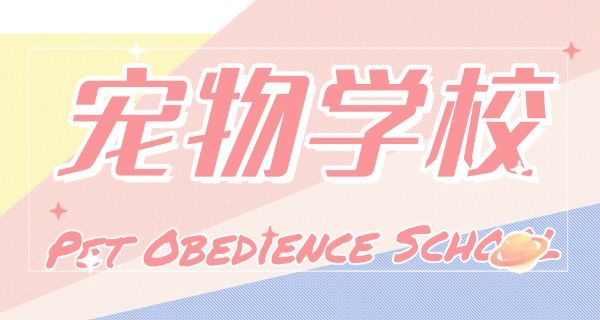 乌 鲁木齐宠物培训学校