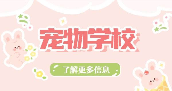乌 鲁木齐宠物培训学校