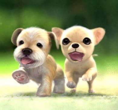 高铁宠物托运服务_京沪高铁宠物托运试点_山东宠物托运