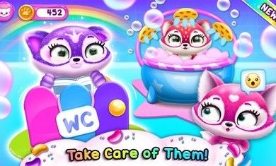 菲露茜斯宠物猫2