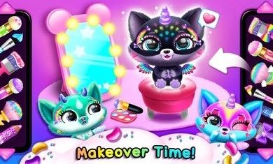 菲露茜斯宠物猫1