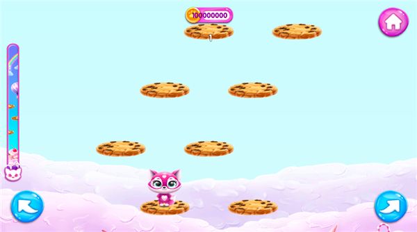 菲露茜斯宠物猫7