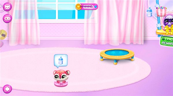 菲露茜斯宠物猫9