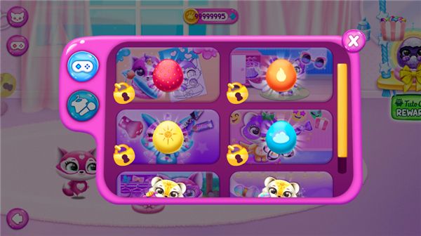 菲露茜斯宠物猫10